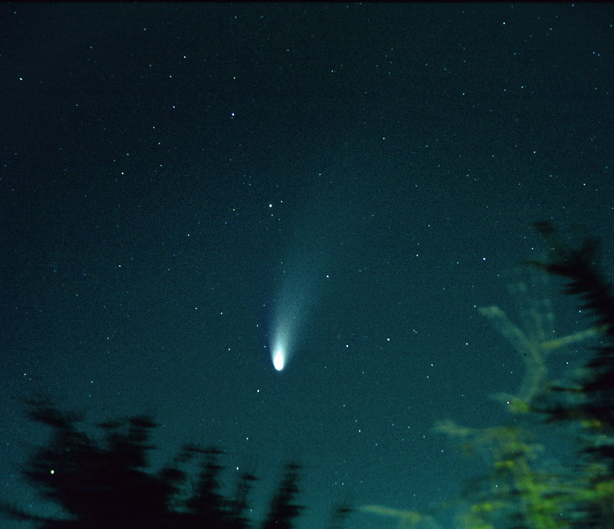 Hale-Bopp (aus dem Archiv)