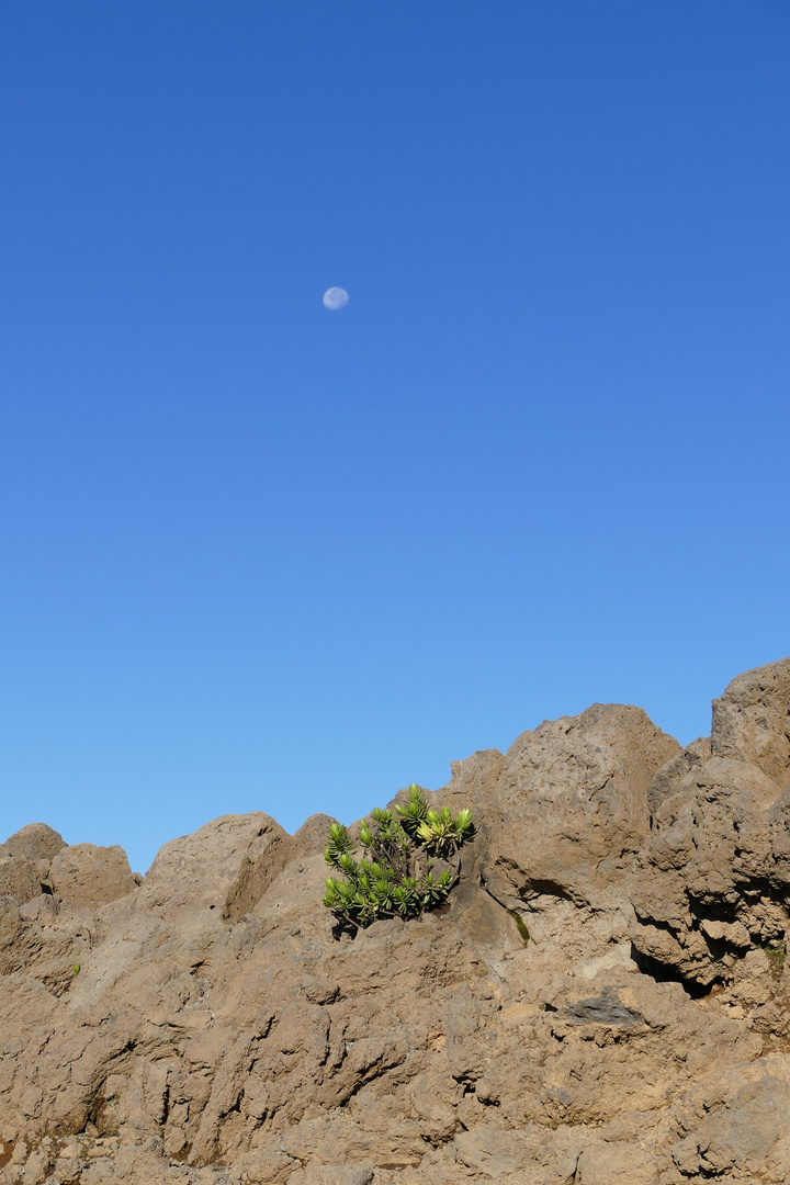 Haleakala