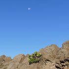 Haleakala