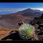 Haleakala Krater # 2