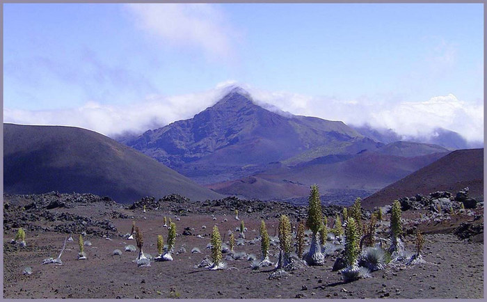 Haleakala-Krater II