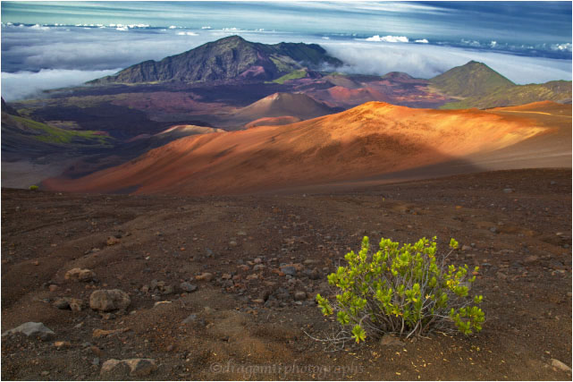 Haleakala One 16