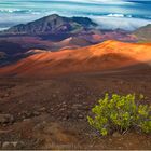 Haleakala One 16