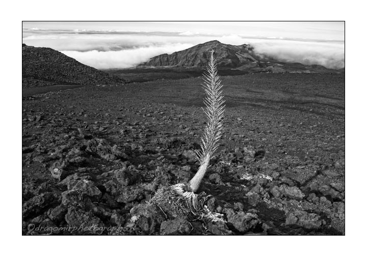 Haleakala One 17