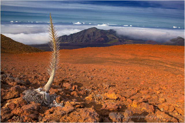 Haleakala One 21