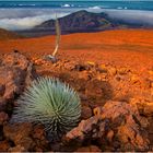 Haleakala One 22