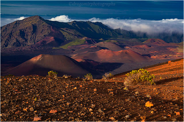 Haleakala One 8