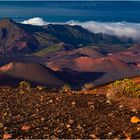 Haleakala One 8