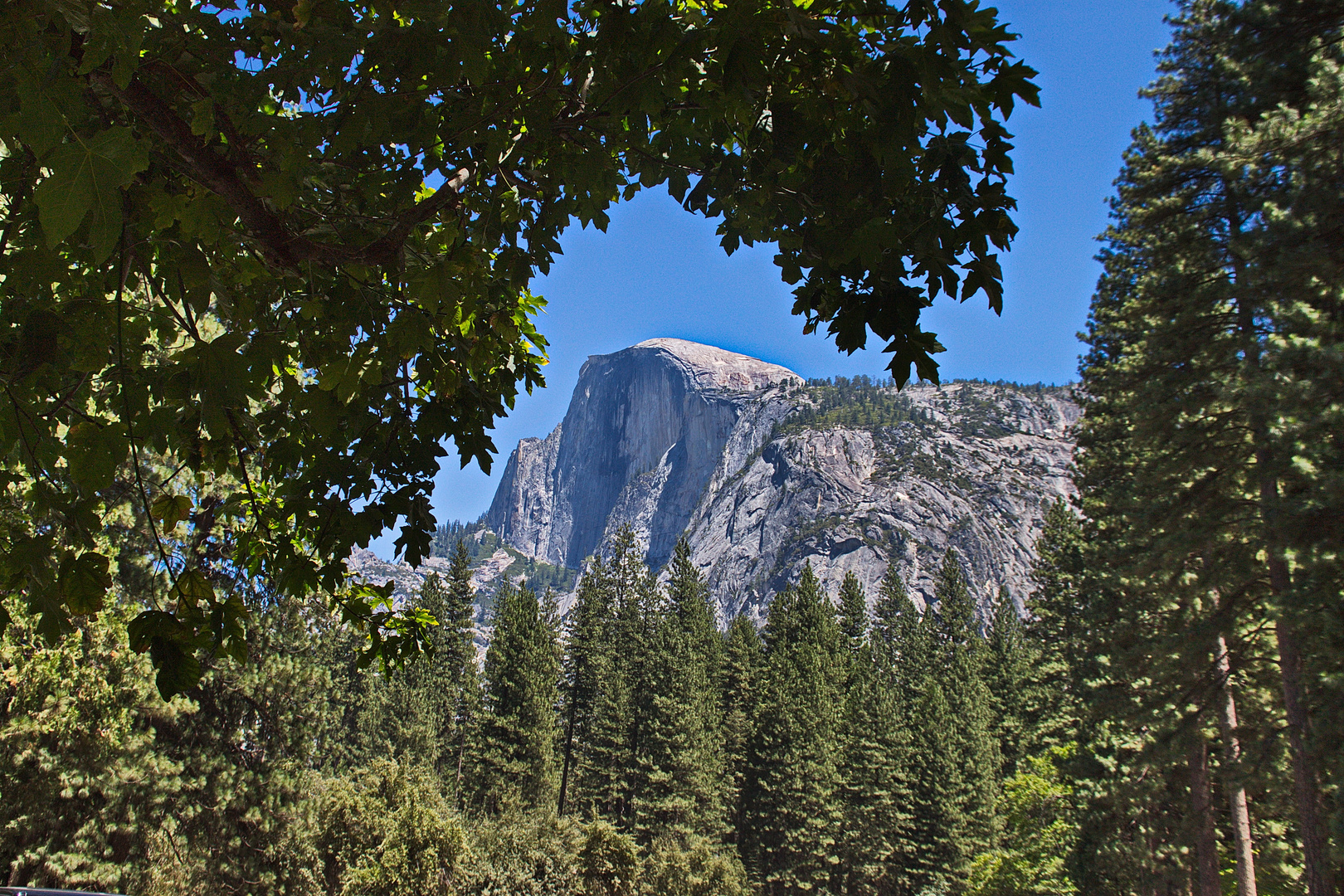 Half Dome