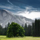 Half Dome 