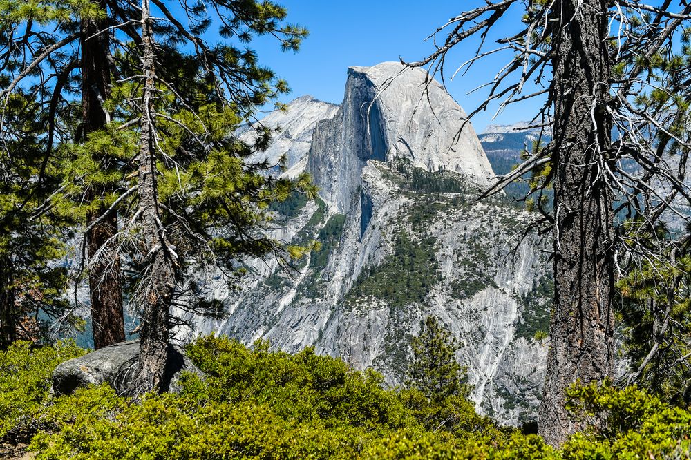 Half Dome                                               DSC_4942-2