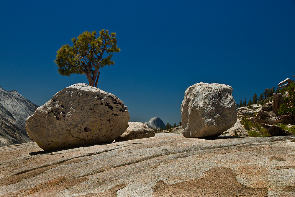 Half Dome