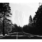 HALF DOME IN MORNING FOG