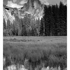 Half Dome Mirror Black & White