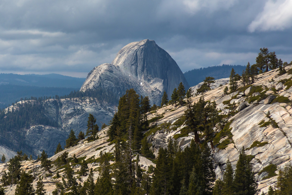 Half Dome vom Olmsted Point