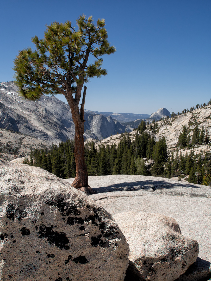 Half Dome von oben