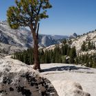 Half Dome von oben