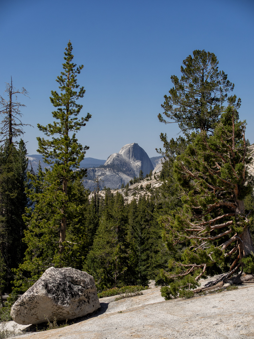 Half Dome von oben