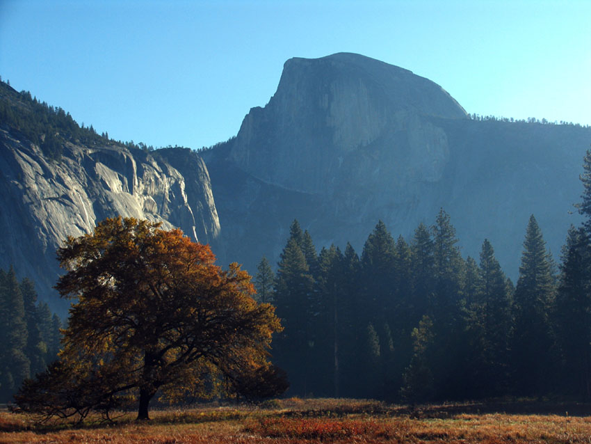 Half Dome Yosemite