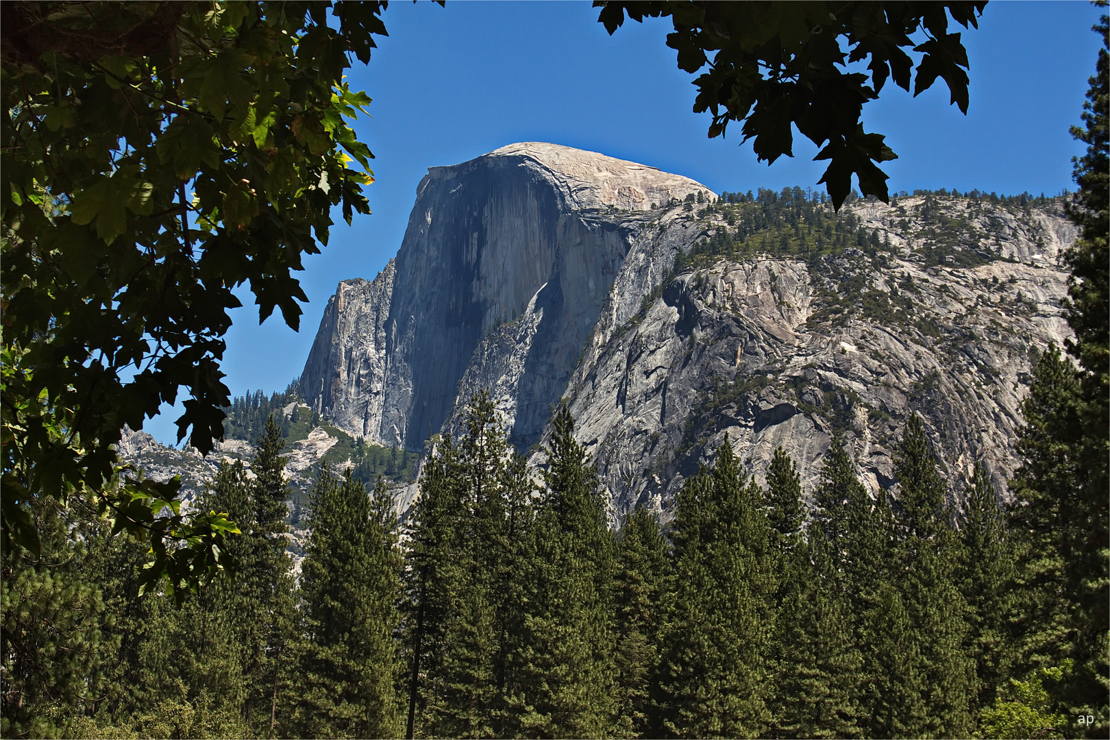 Half Dome Yosemite