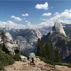 Half Dome / Yosemite N.P.