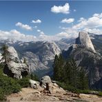 Half Dome / Yosemite N.P.