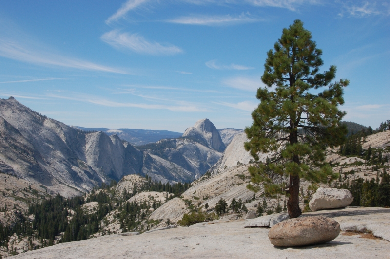 Half Dome - Yosemite NP