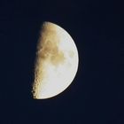 Half Moon