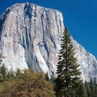 Halfdome im Herbst