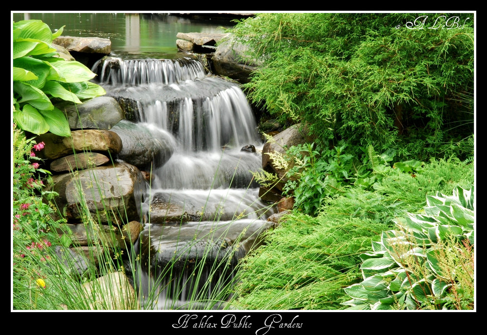 Halifax Public Garden!!