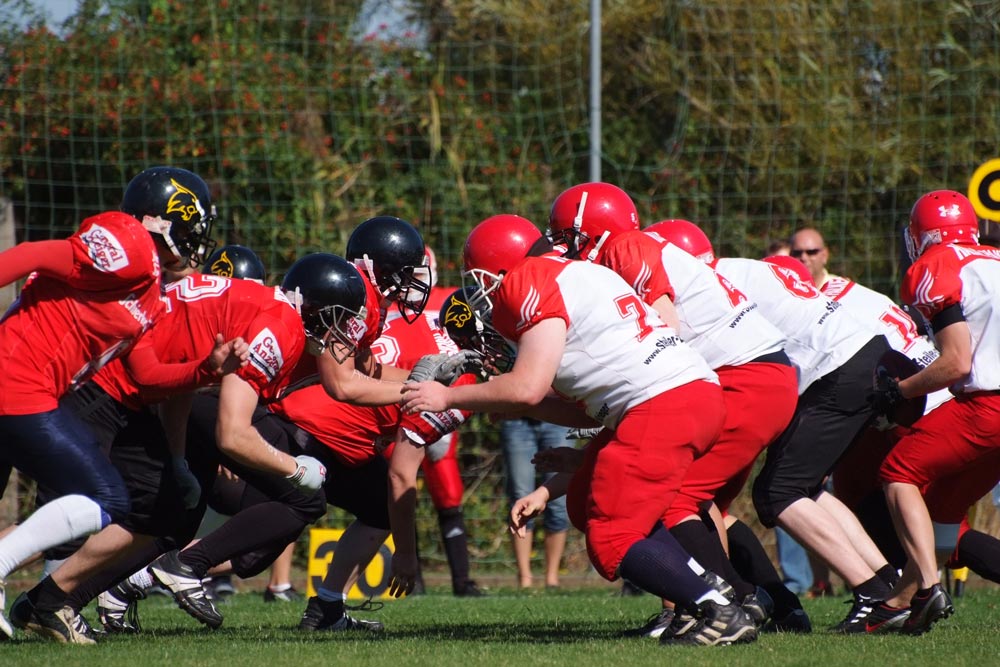 Halle Falken vs. Mountain Tigers Wernigerode