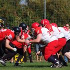 Halle Falken vs. Mountain Tigers Wernigerode