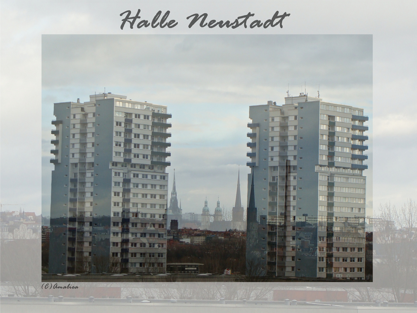 Halle - Neustadt