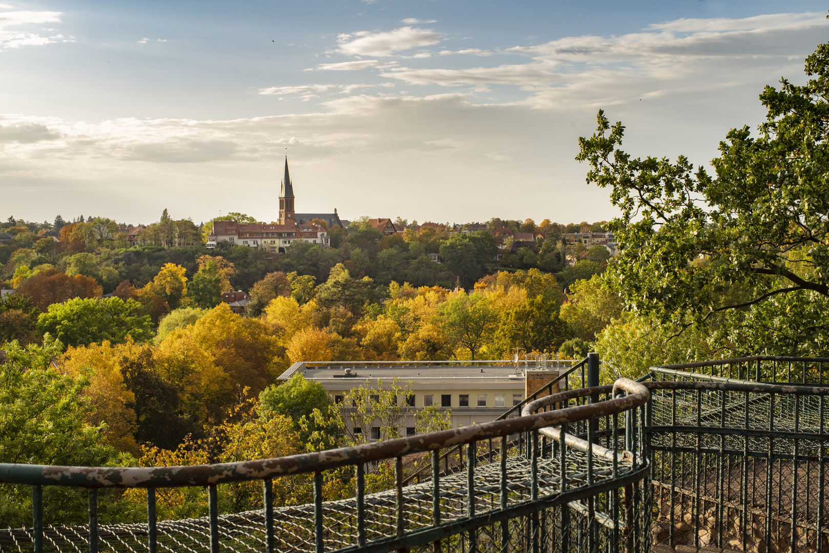 Halle/ Saale - Zoo