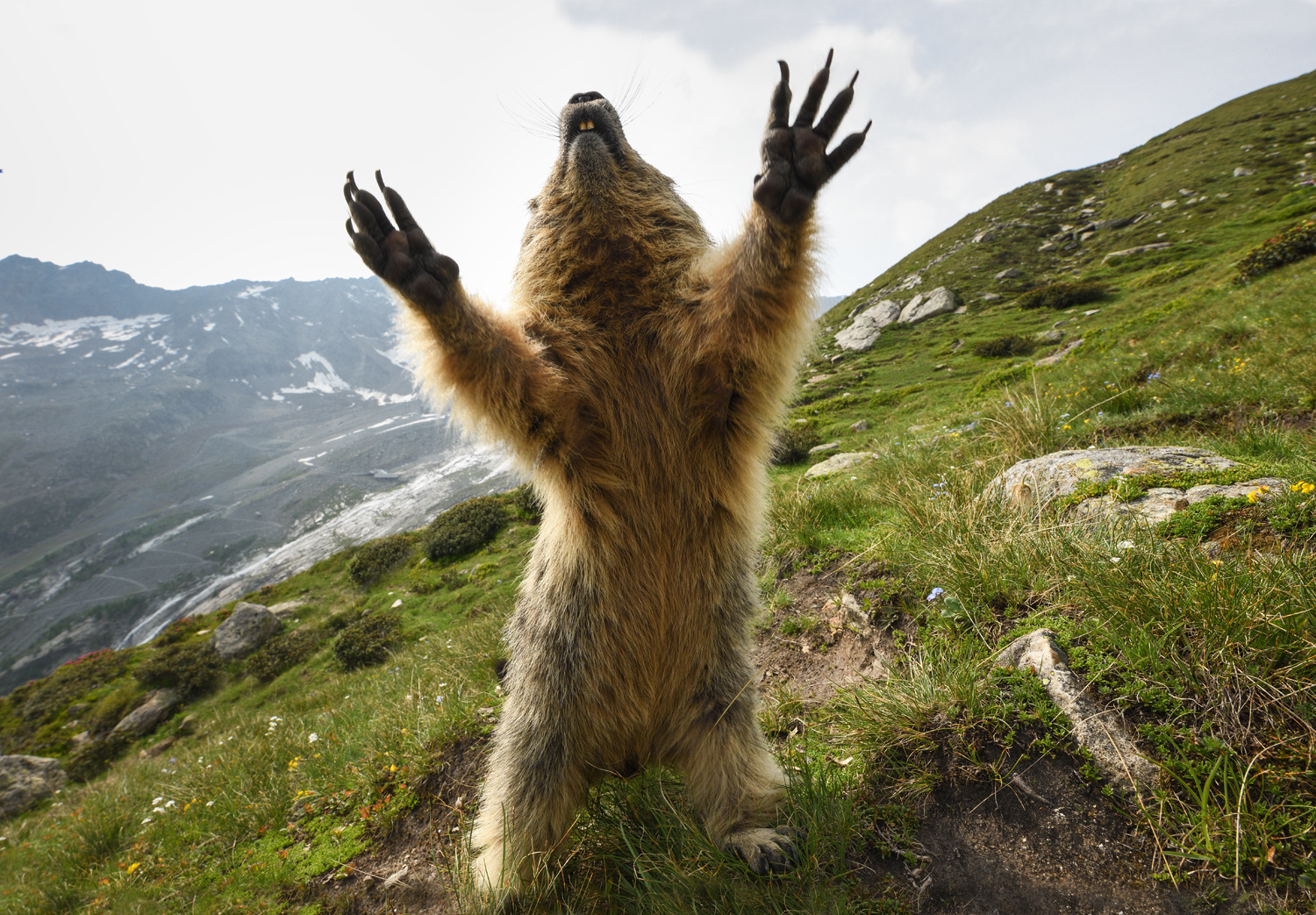 Halleluja... Foto & Bild natur, schweiz, berge Bilder auf