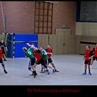 Hallenhandball 4