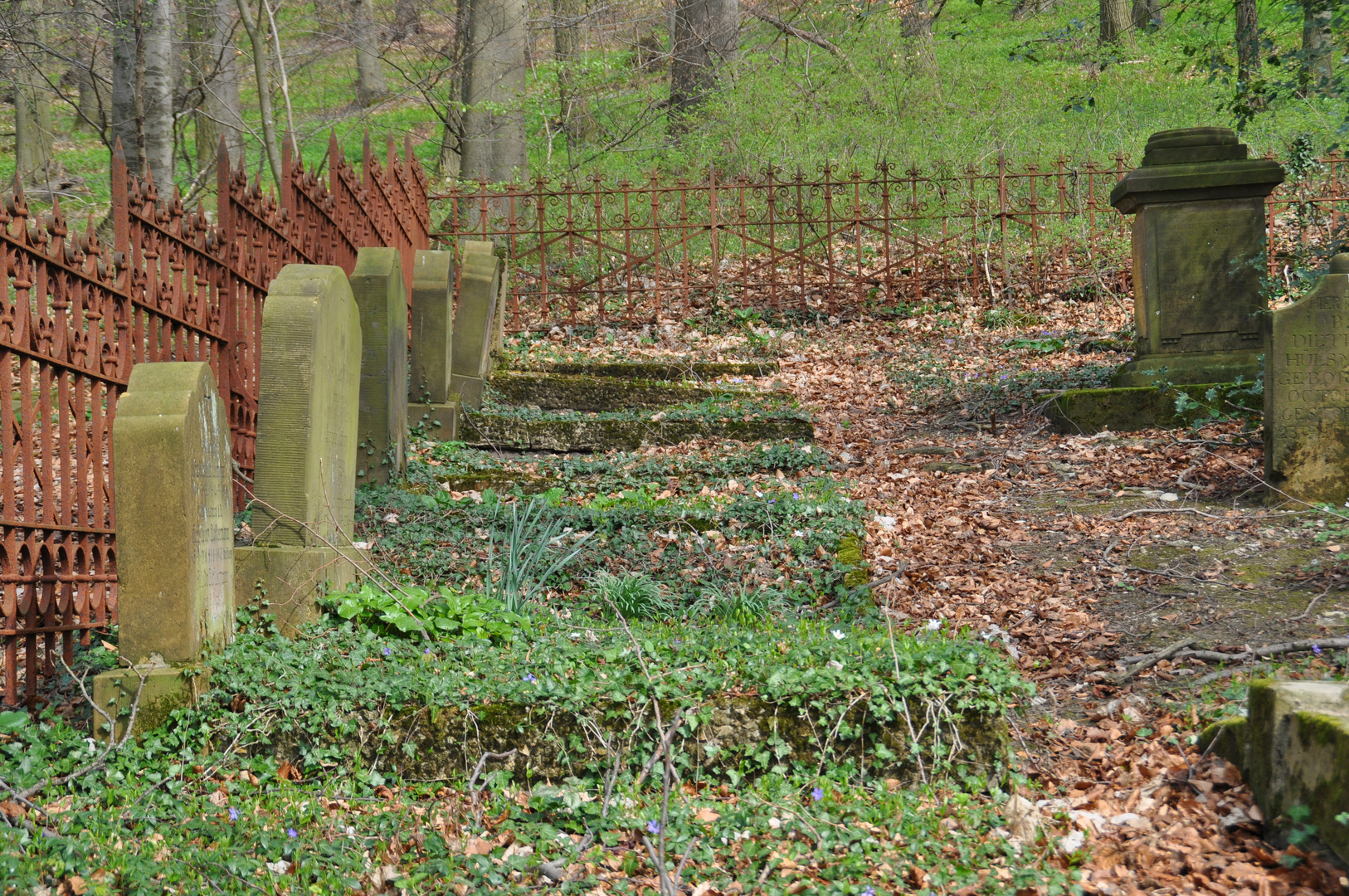 Haller Waldgrabstätten