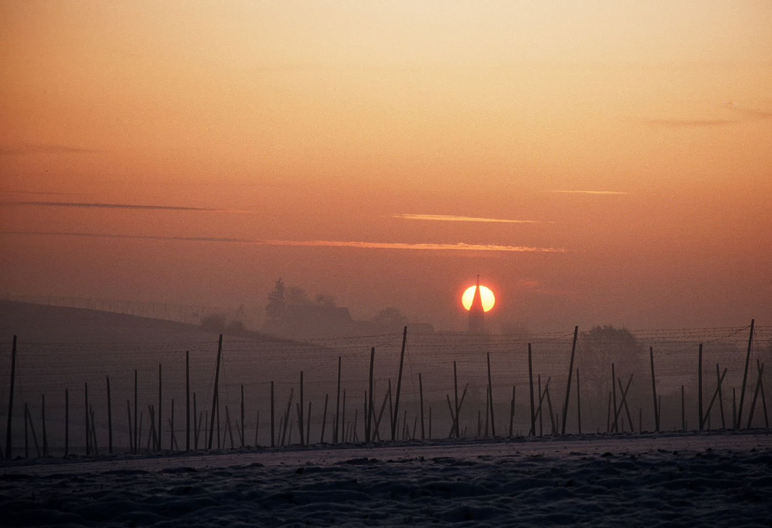 Hallertau am Morgen