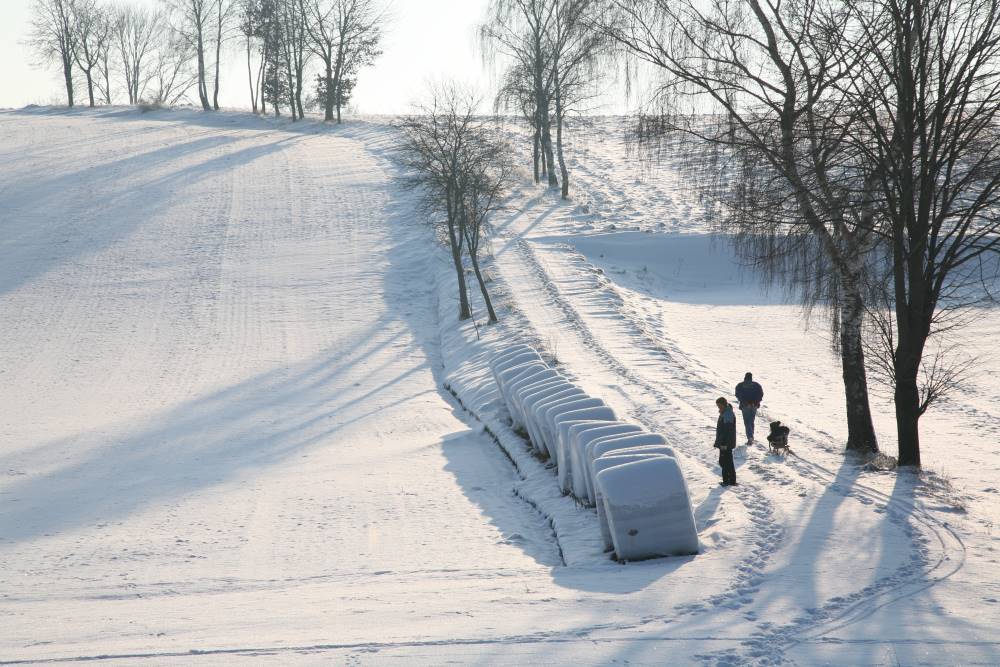 Hallertau im Winter 2