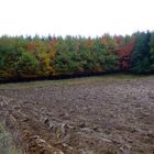 Hallertauer Herbstspaziergang III