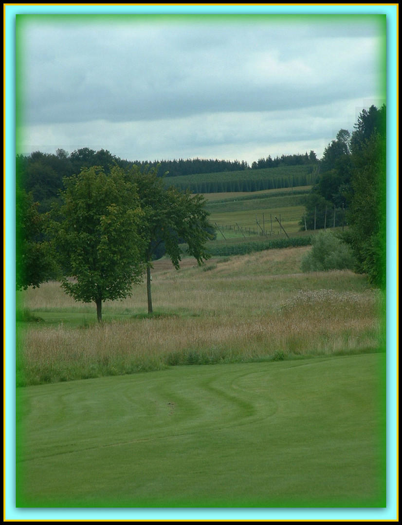 Hallertauer Landschaft im August 2011