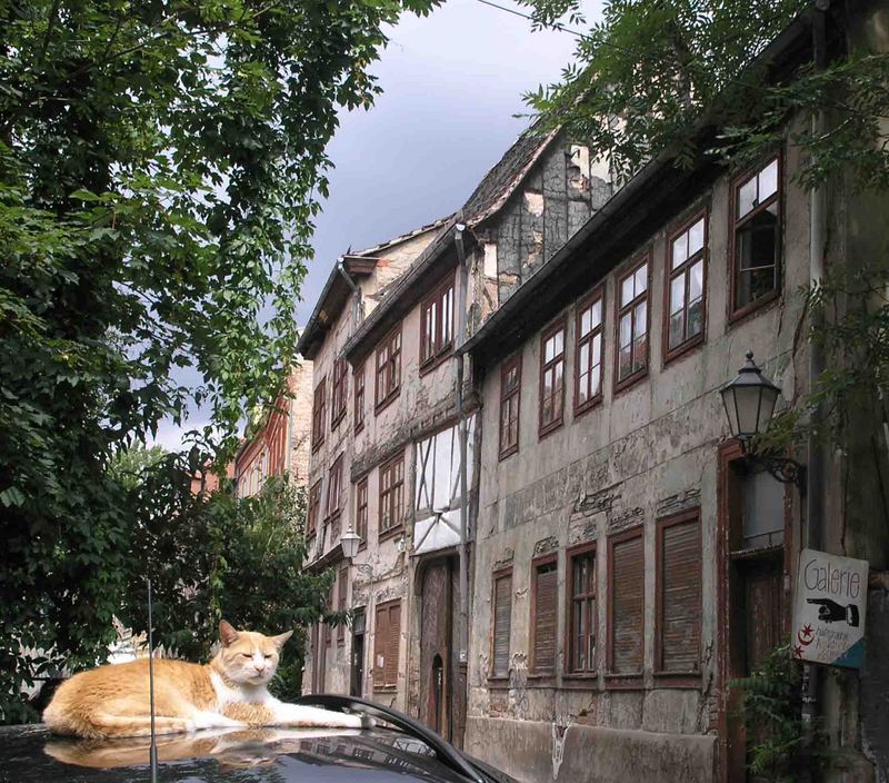 Halles ältestes Wohnhaus verfällt