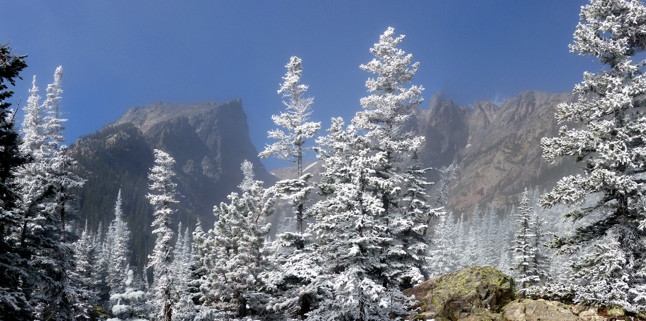 Hallet Peak im Rocky Mountain NP II