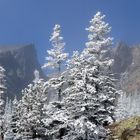 Hallet Peak im Rocky Mountain NP II