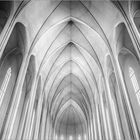 - Hallgrimskirche - 2 -