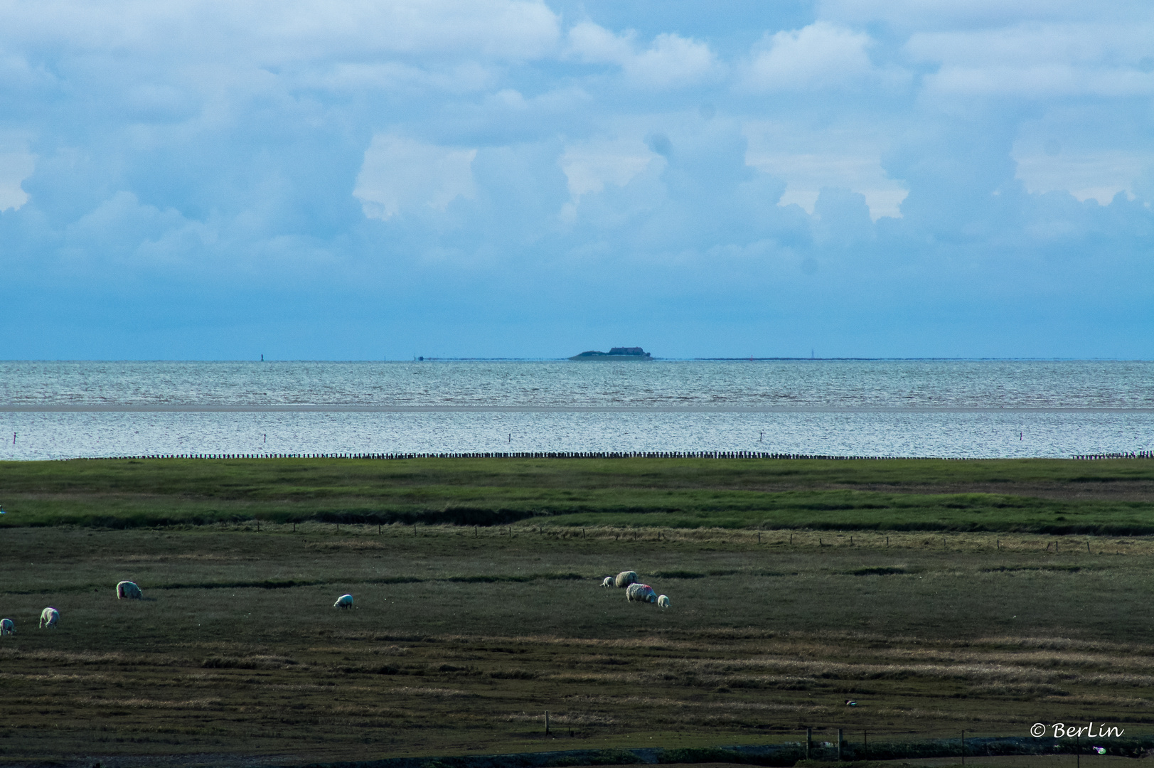 Hallig