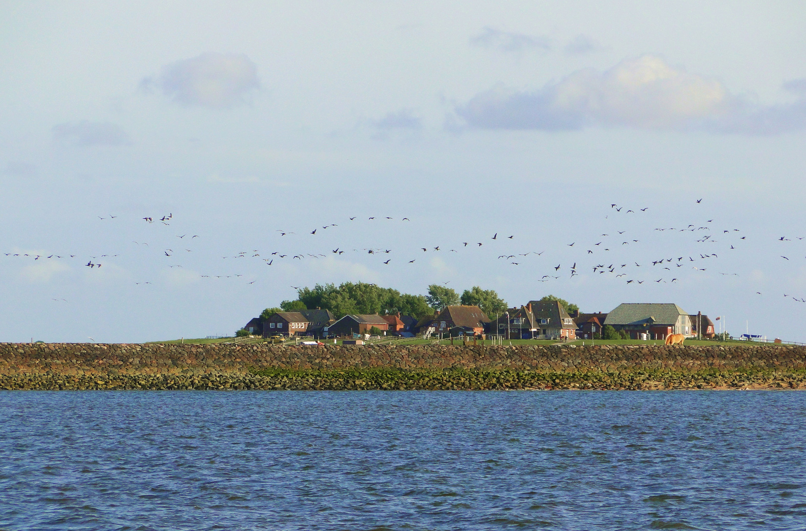 Hallig