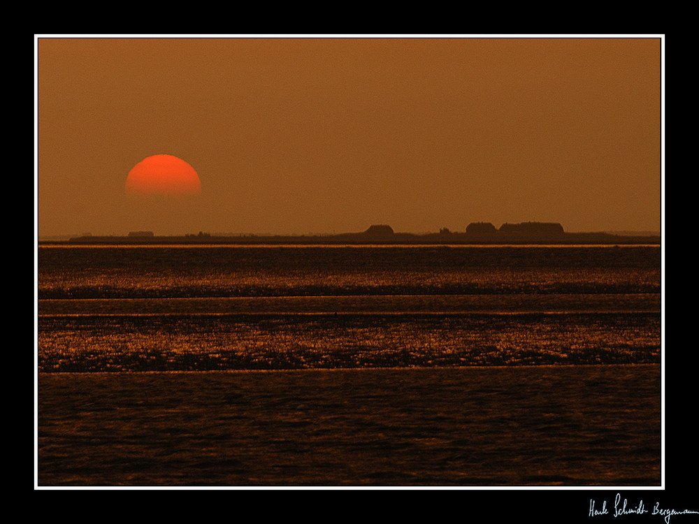 Hallig bei Sonnenuntergang