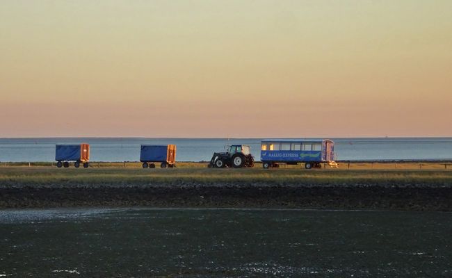 Hallig Express