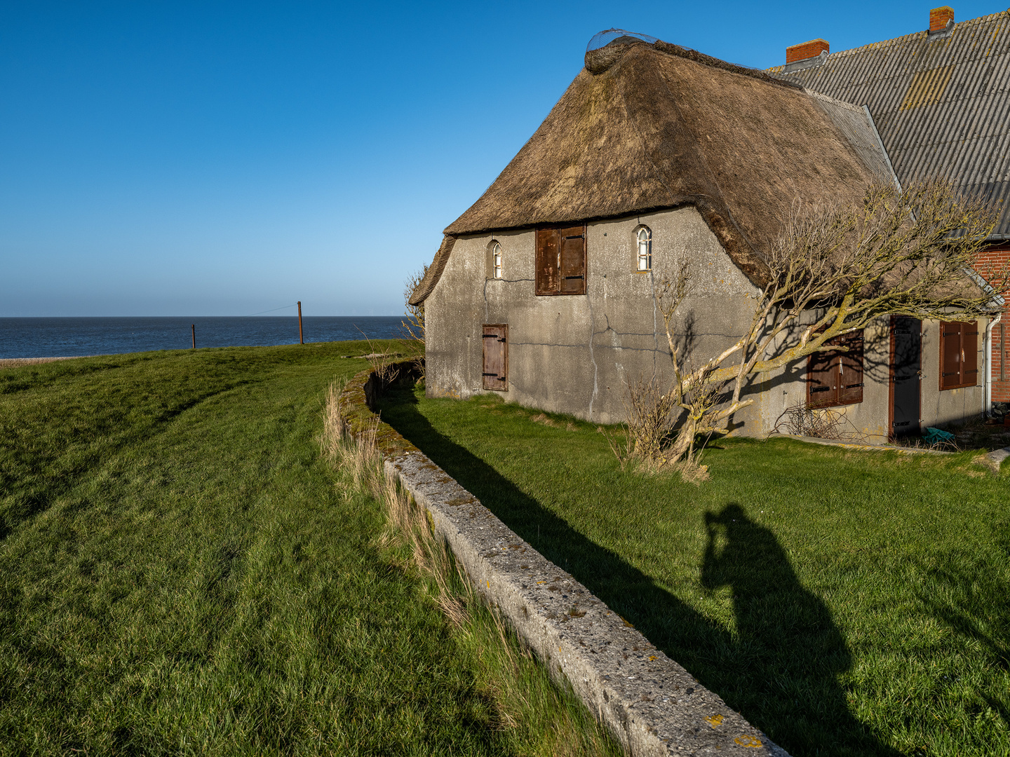 Hallig-Foto